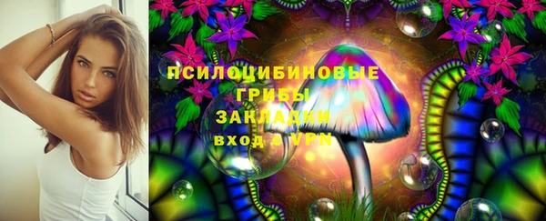 первитин Богородицк