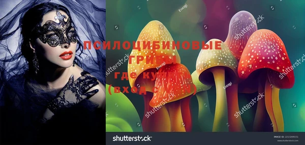 МДМА Богданович